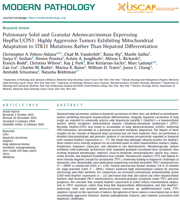 Natasha Rekhtman MD PhD tweet media