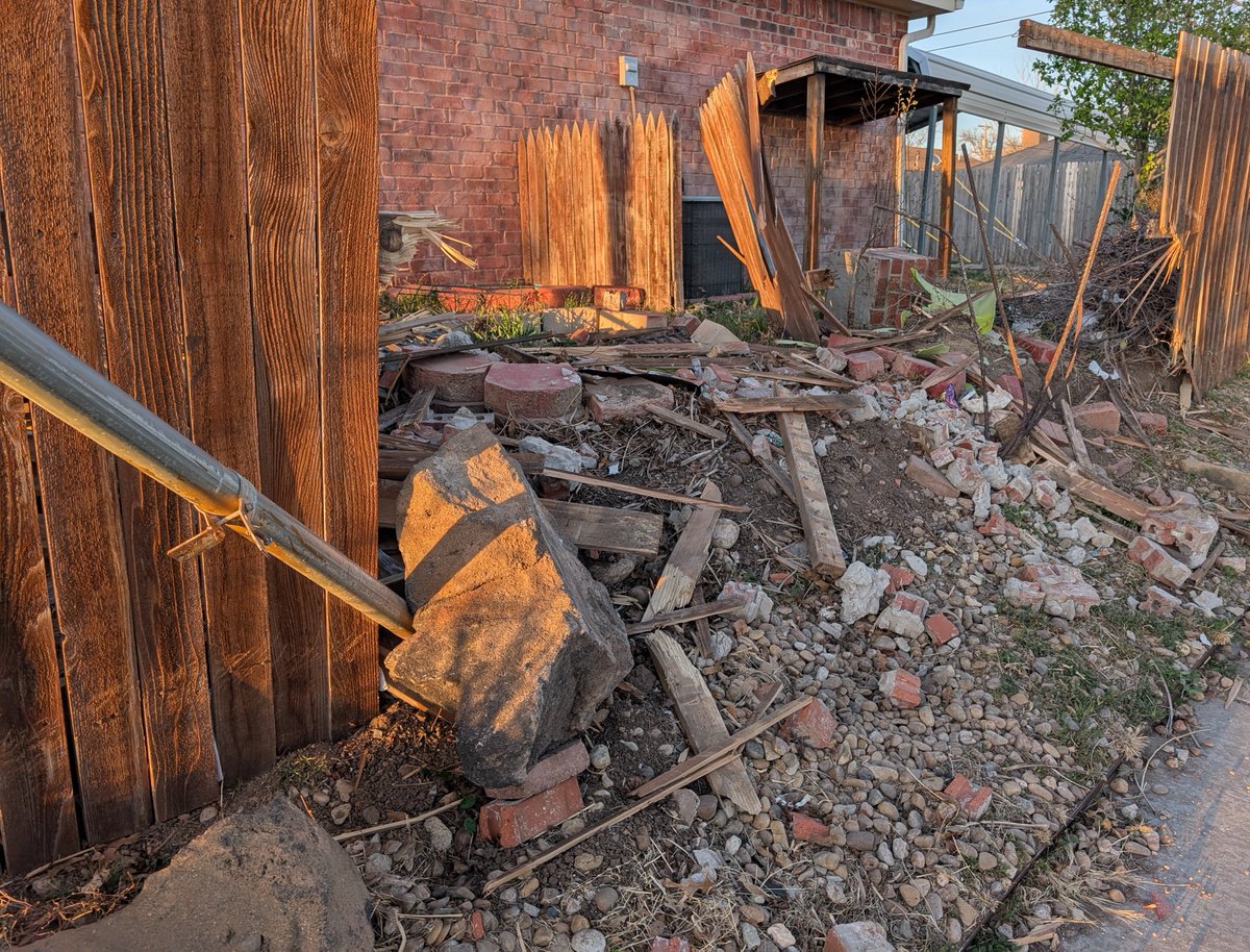 Tusk 🦣 tweet media