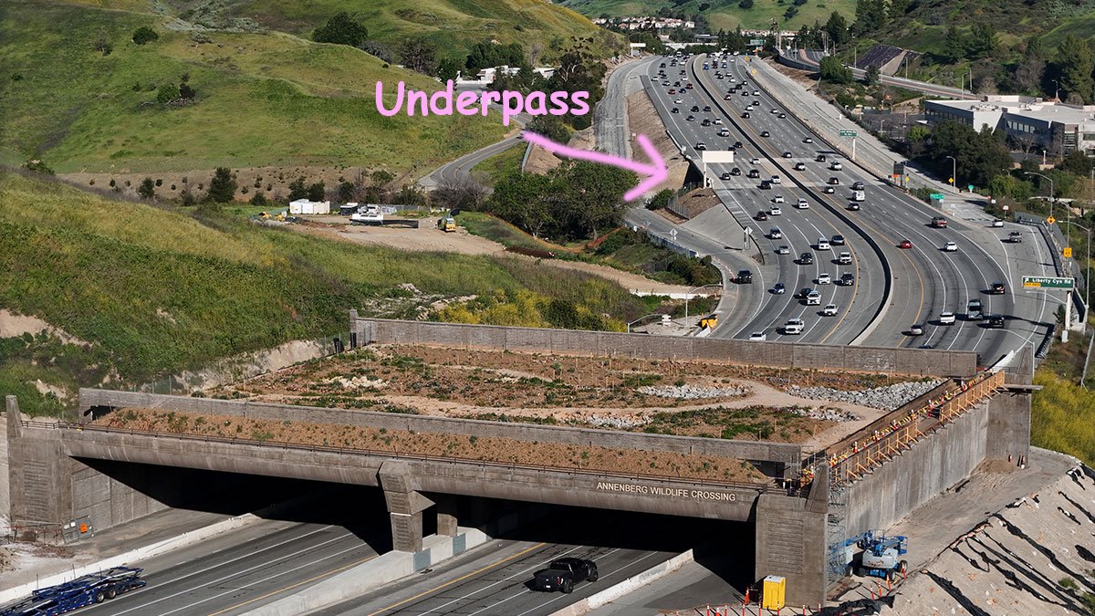 Brian Whetten tweet media