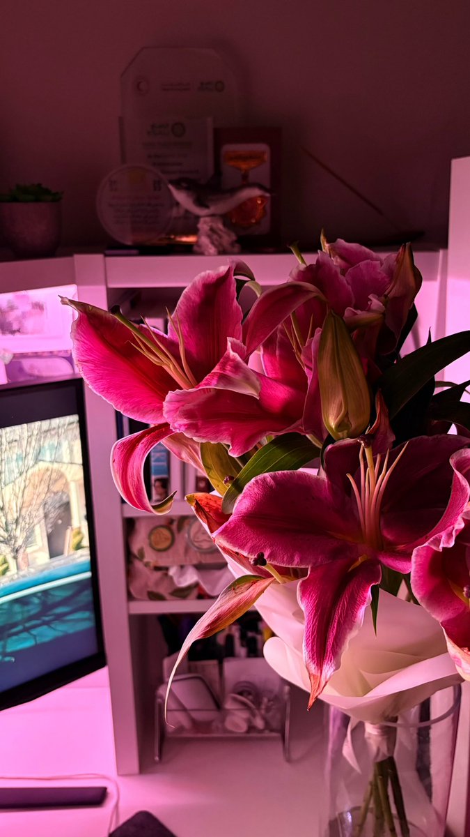 Wejdan K B tweet media