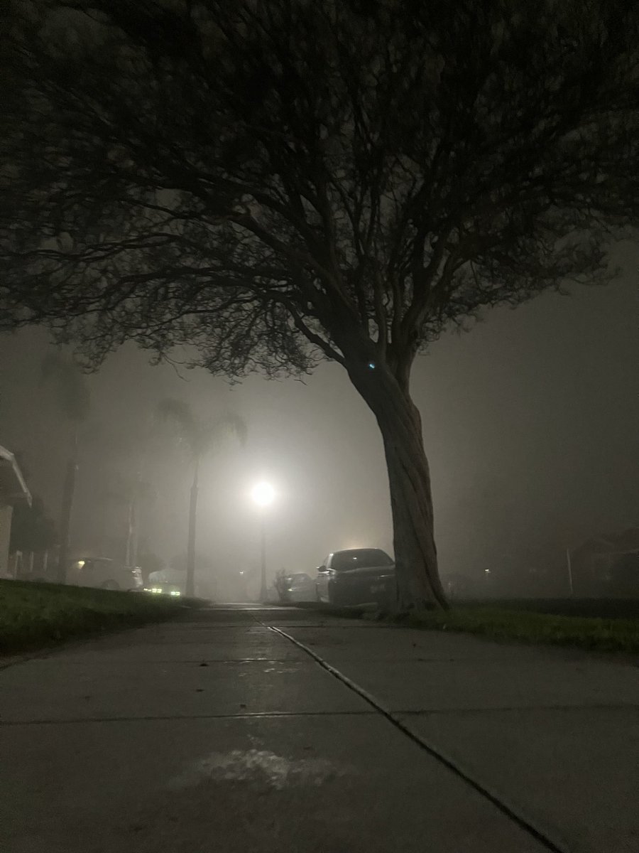 JLorenzo Santos tweet media