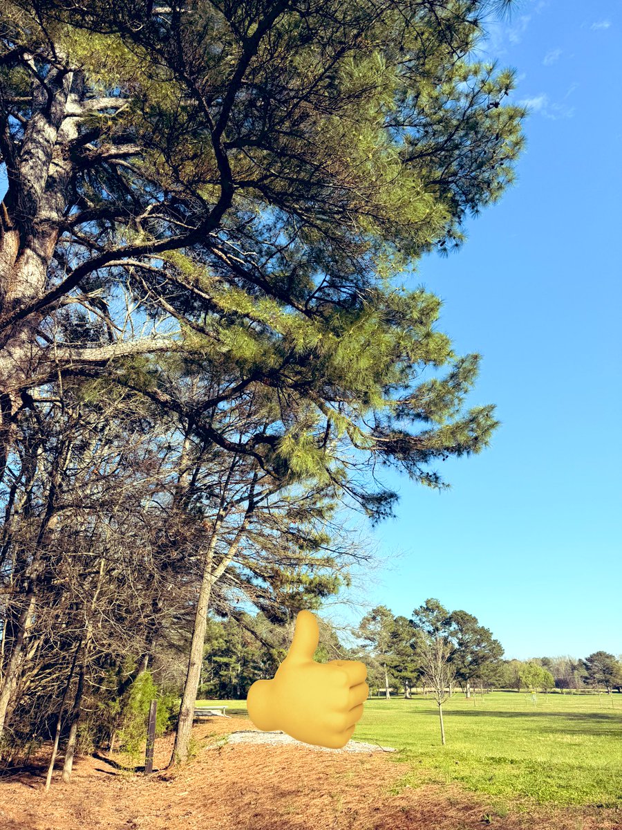 Ruby 🇺🇸 tweet media