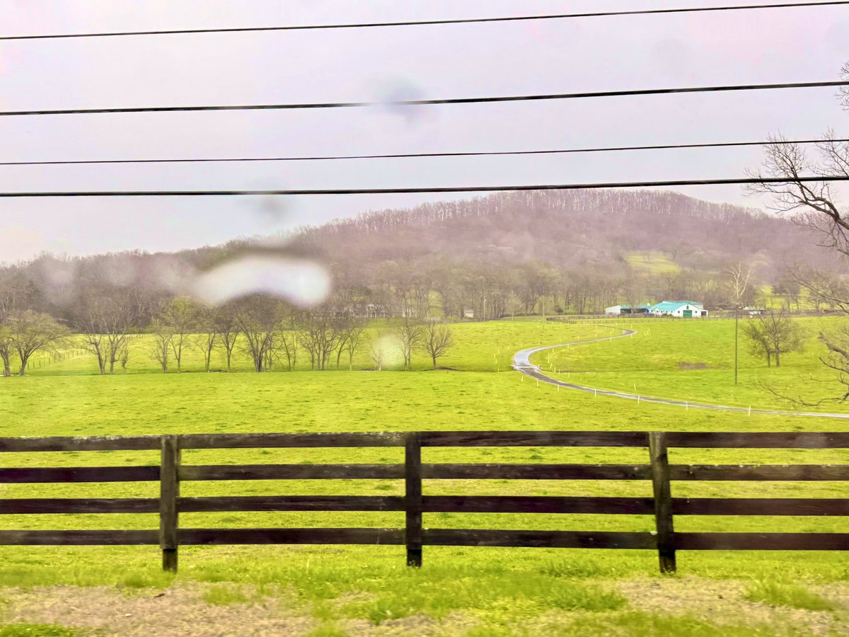 Ruby 🇺🇸 tweet media