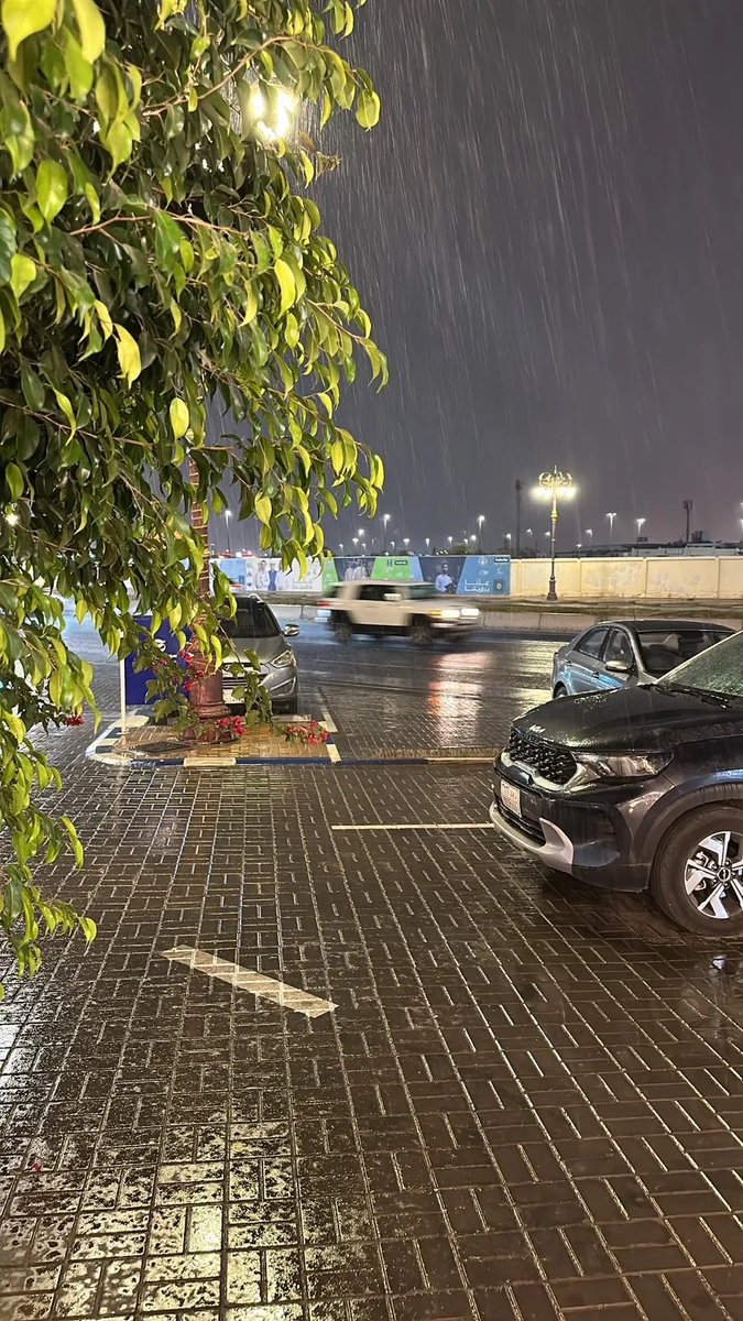 عبدالمجيد tweet media