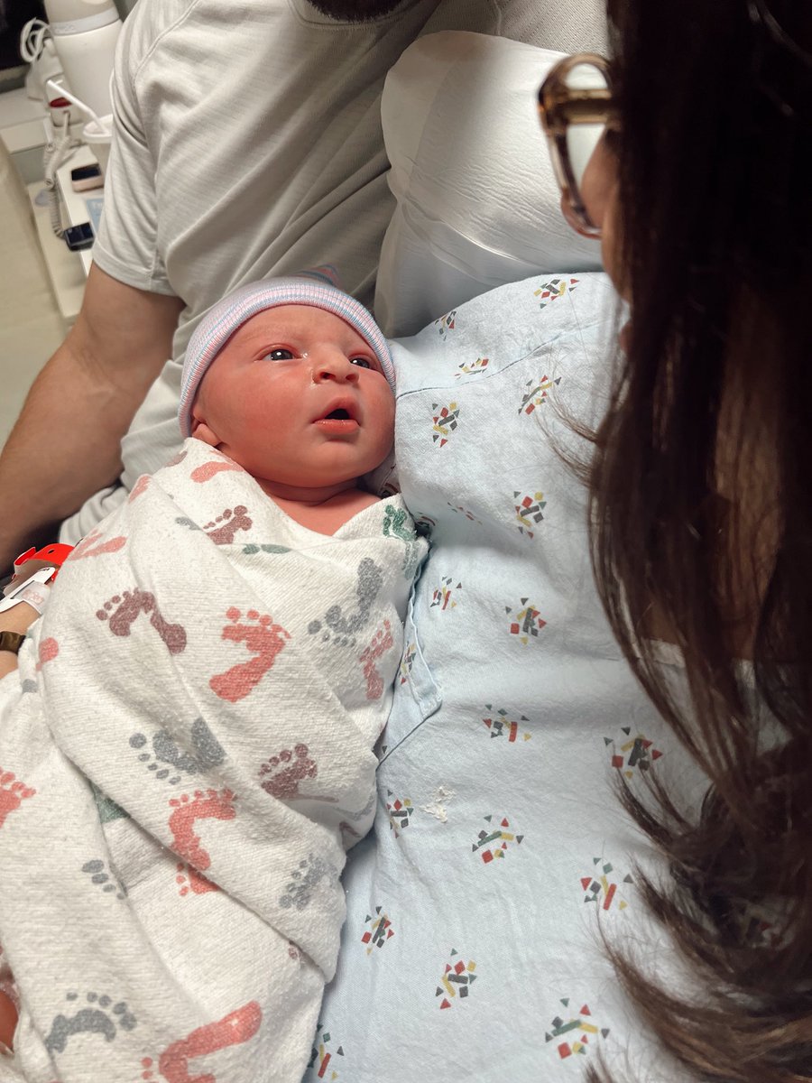 Lauren Jbara tweet media