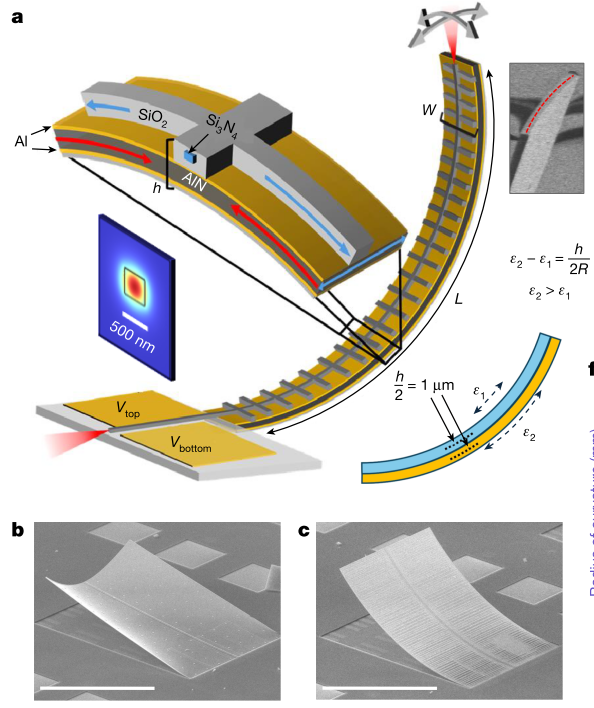 Comb Lab tweet media