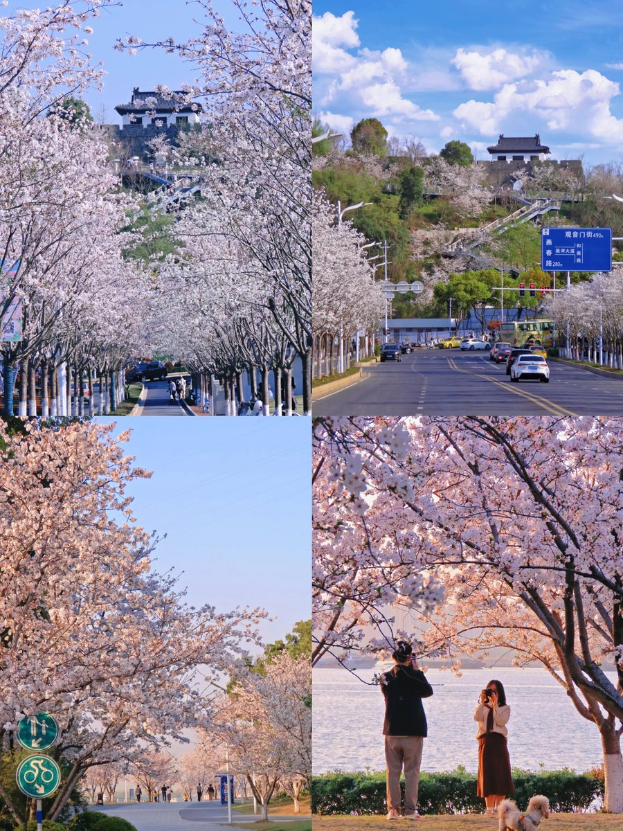 韩美丽🇨🇳（互fo互赞必回） tweet media