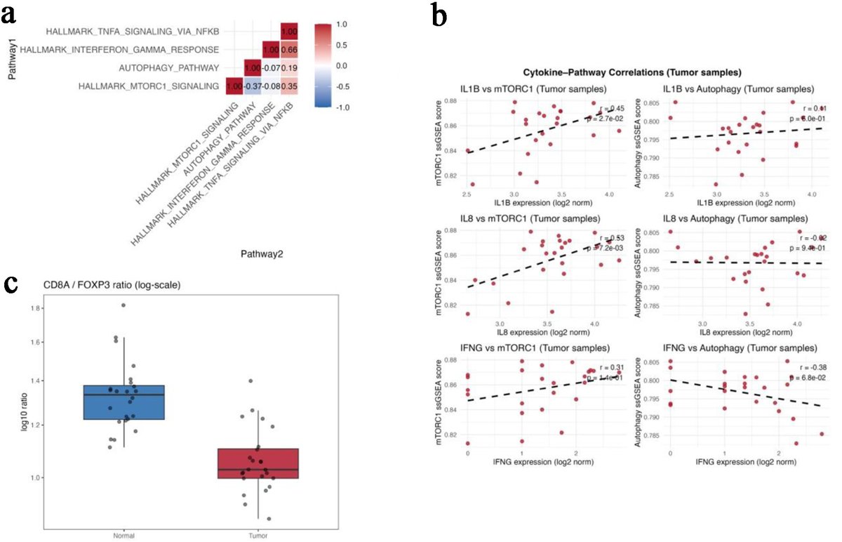 World Journal of Oncology tweet media