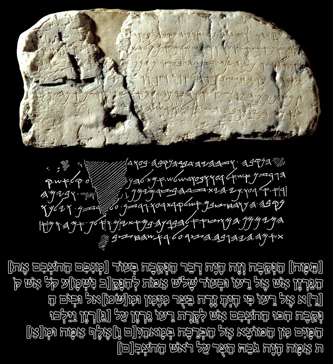 Agamemnon tweet media