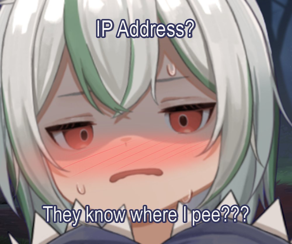 Pyonta 🐇 tweet media