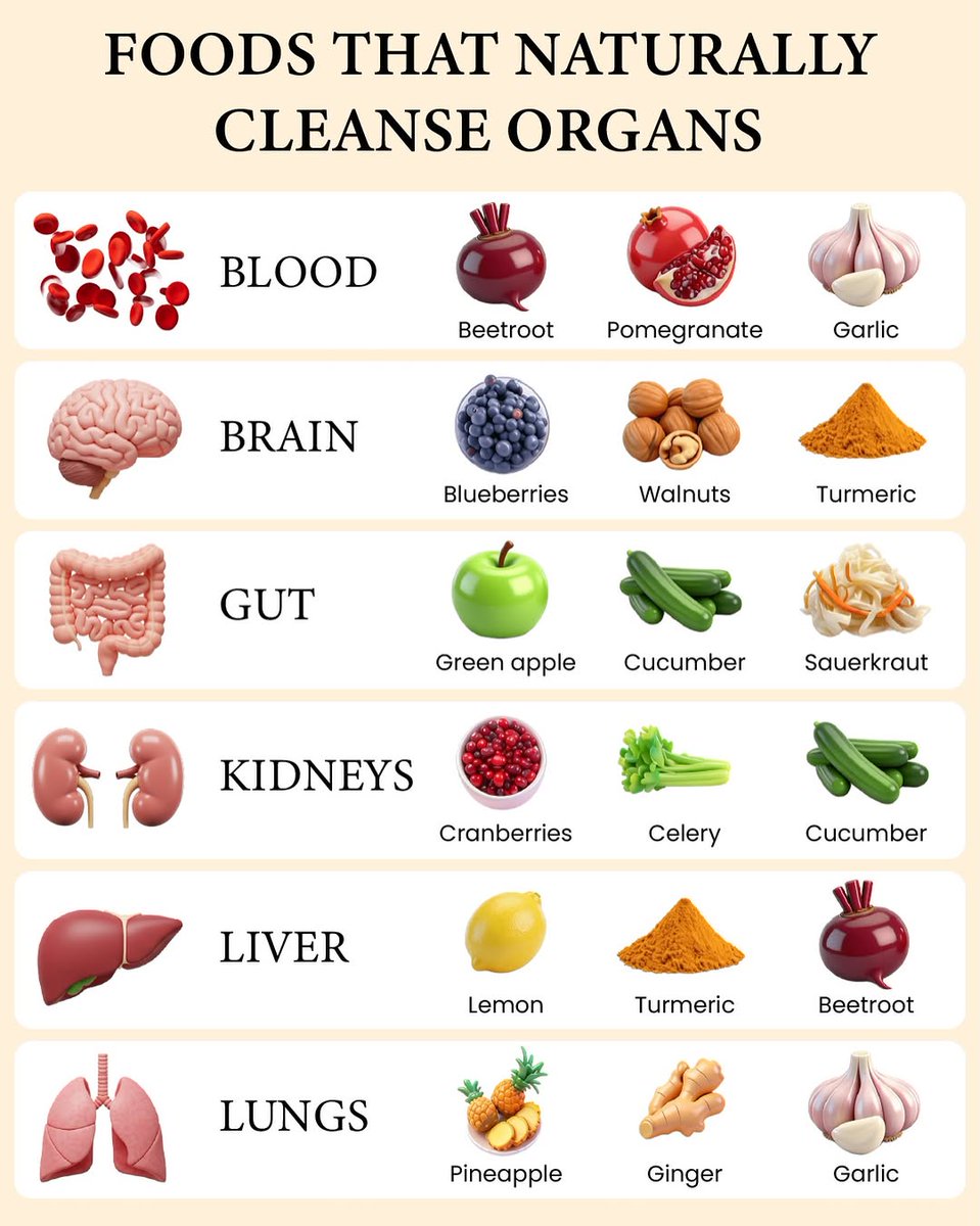 Barbara Oneill tweet media