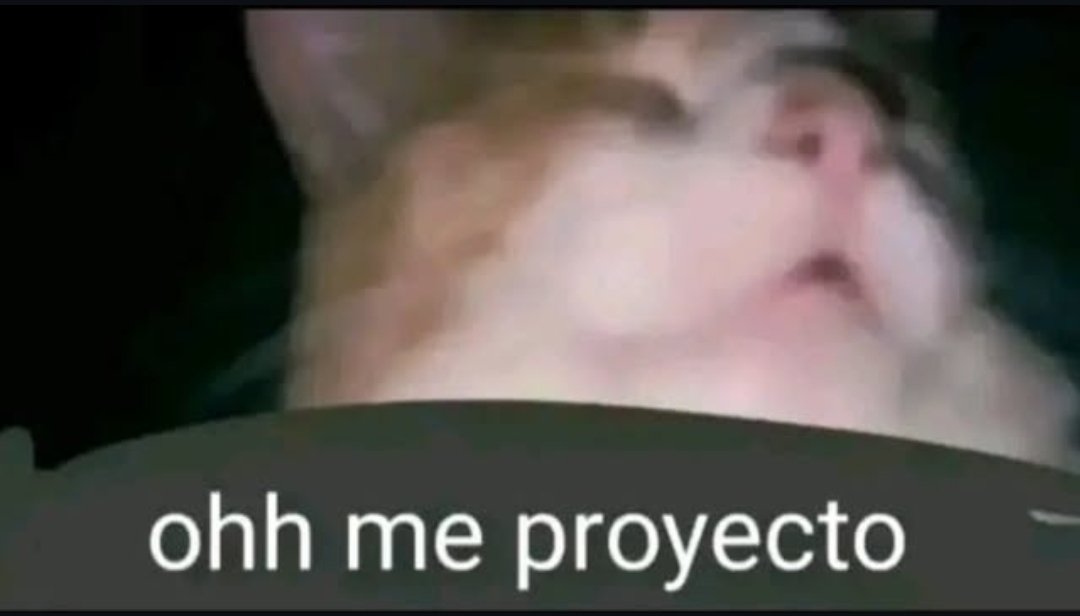 ?niel pasado x bot tweet media