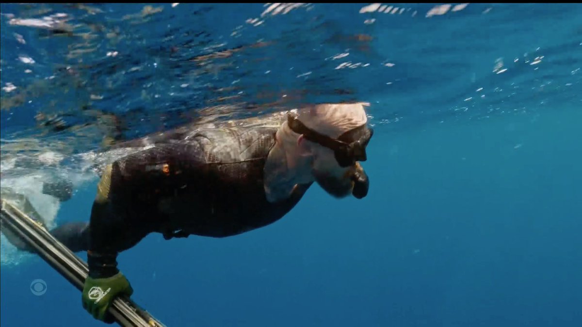 Ryan 🦈 tweet media