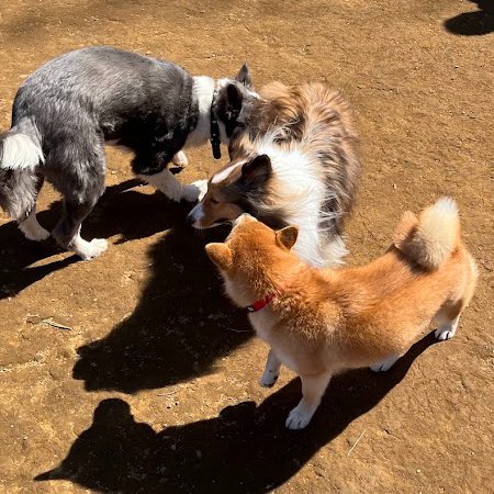 株式会社アンバーサイン【公式】 tweet media