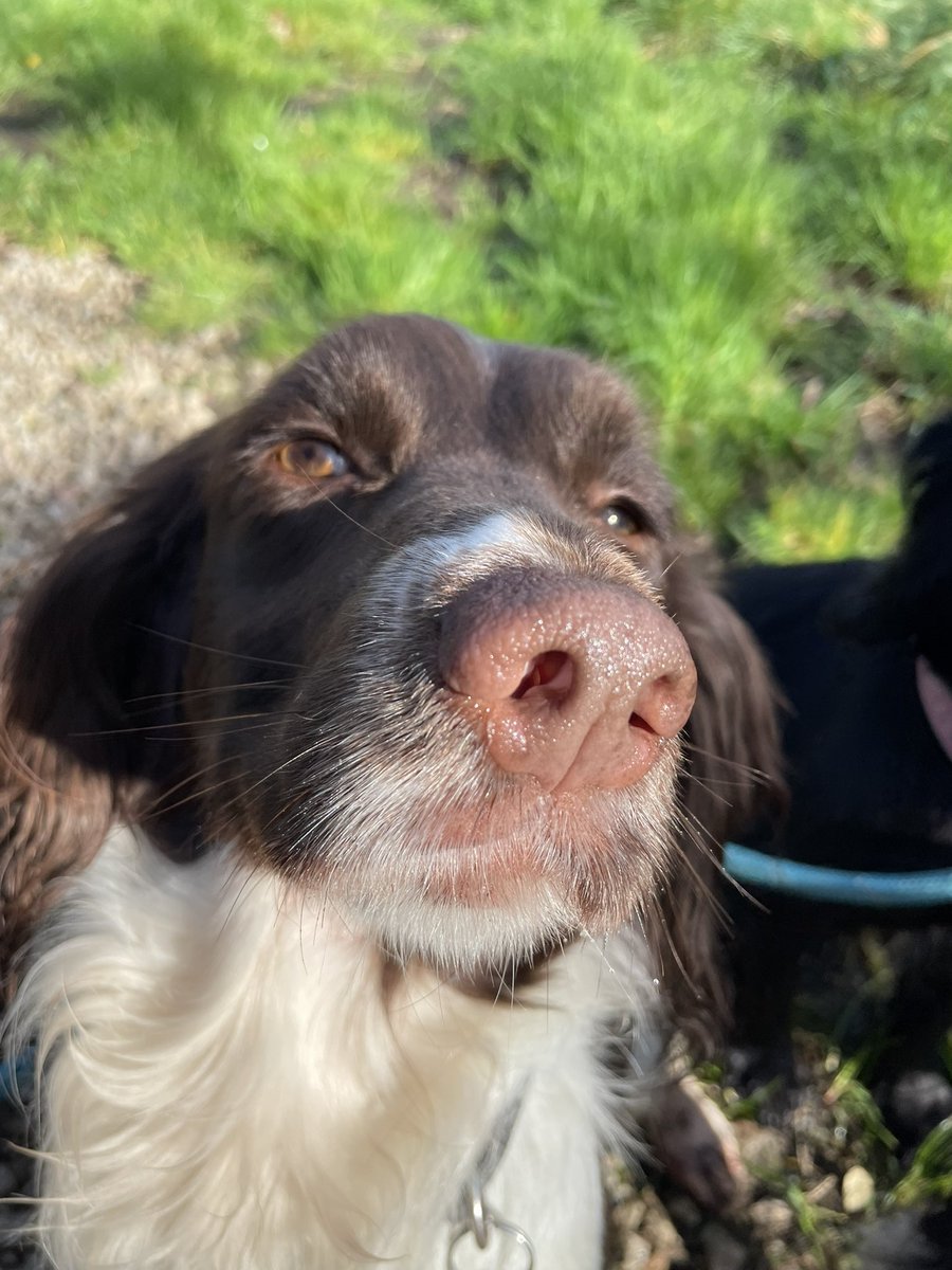 Albertspanners Dad tweet media