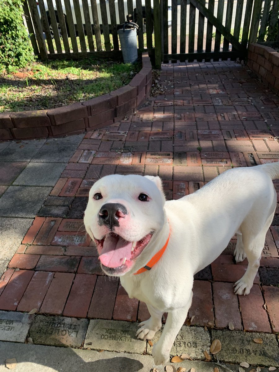 Text Line tweet media