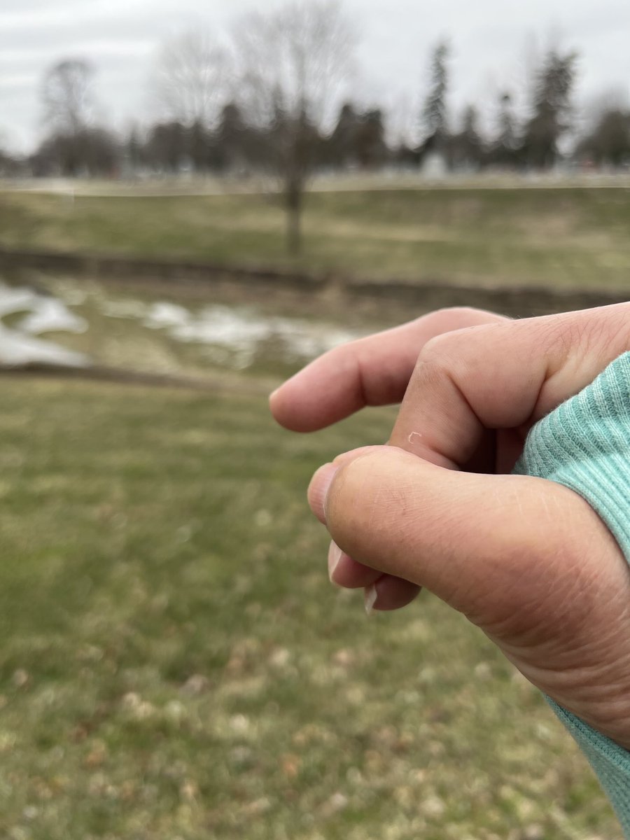 Margarita- M²-C (MC) tweet media