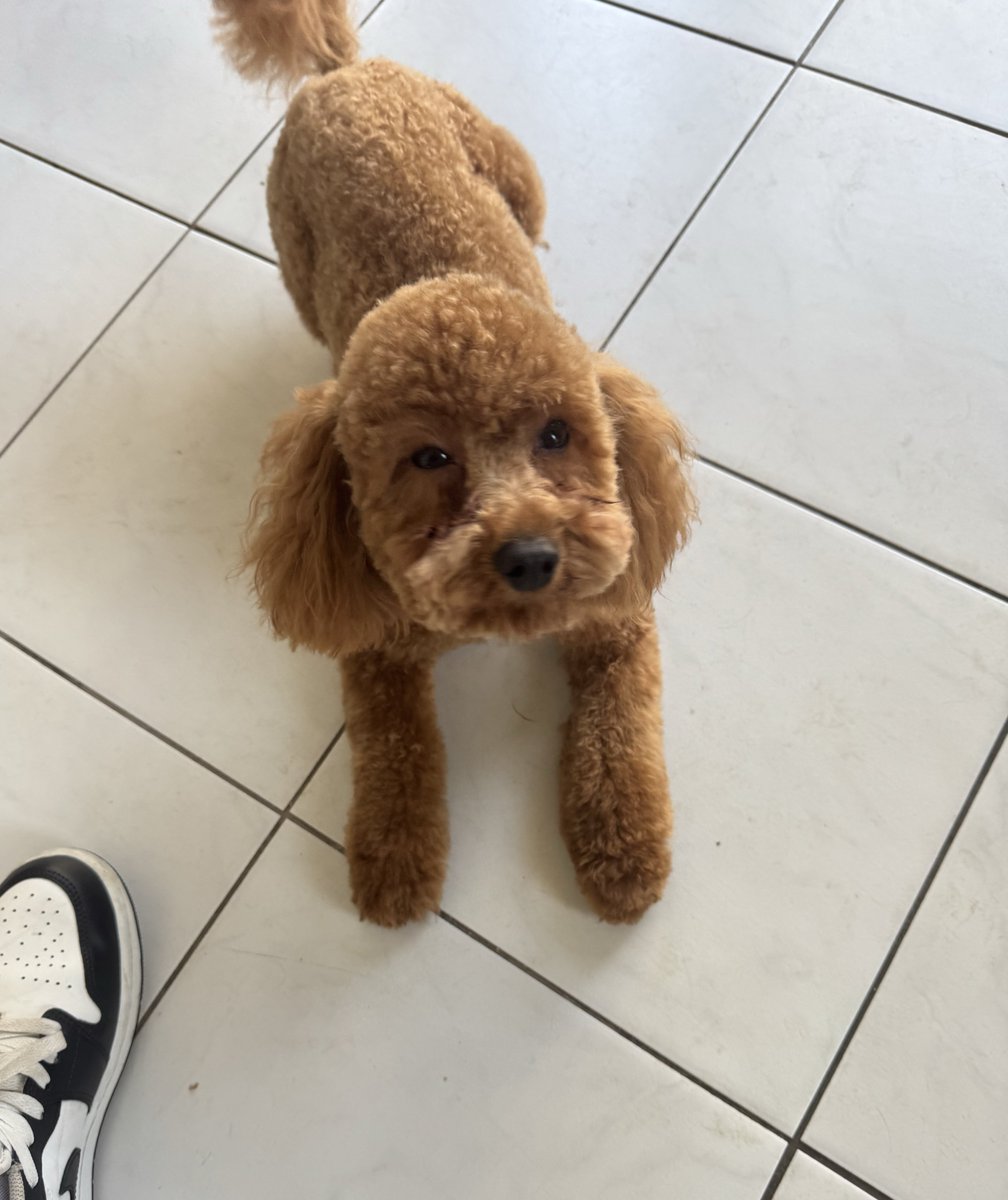 Prince Canuma tweet media