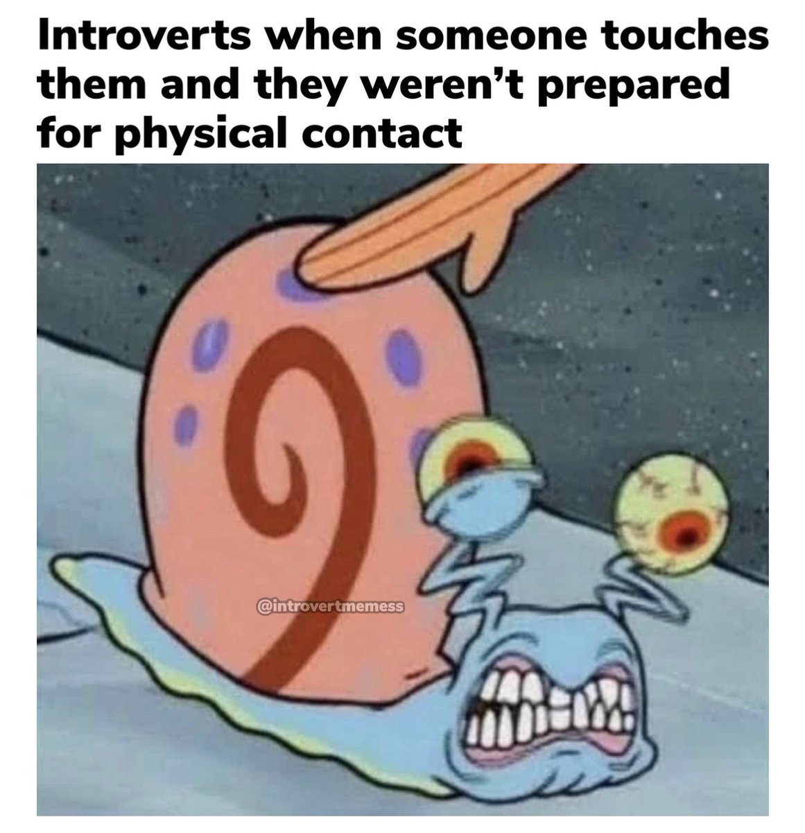 All About Introverts tweet media