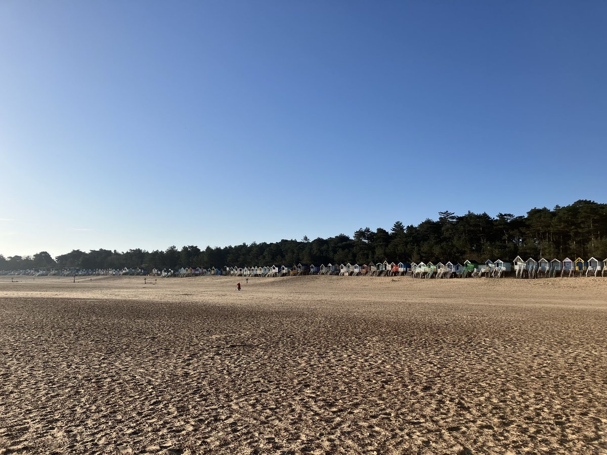 Jacinta Palmer tweet media