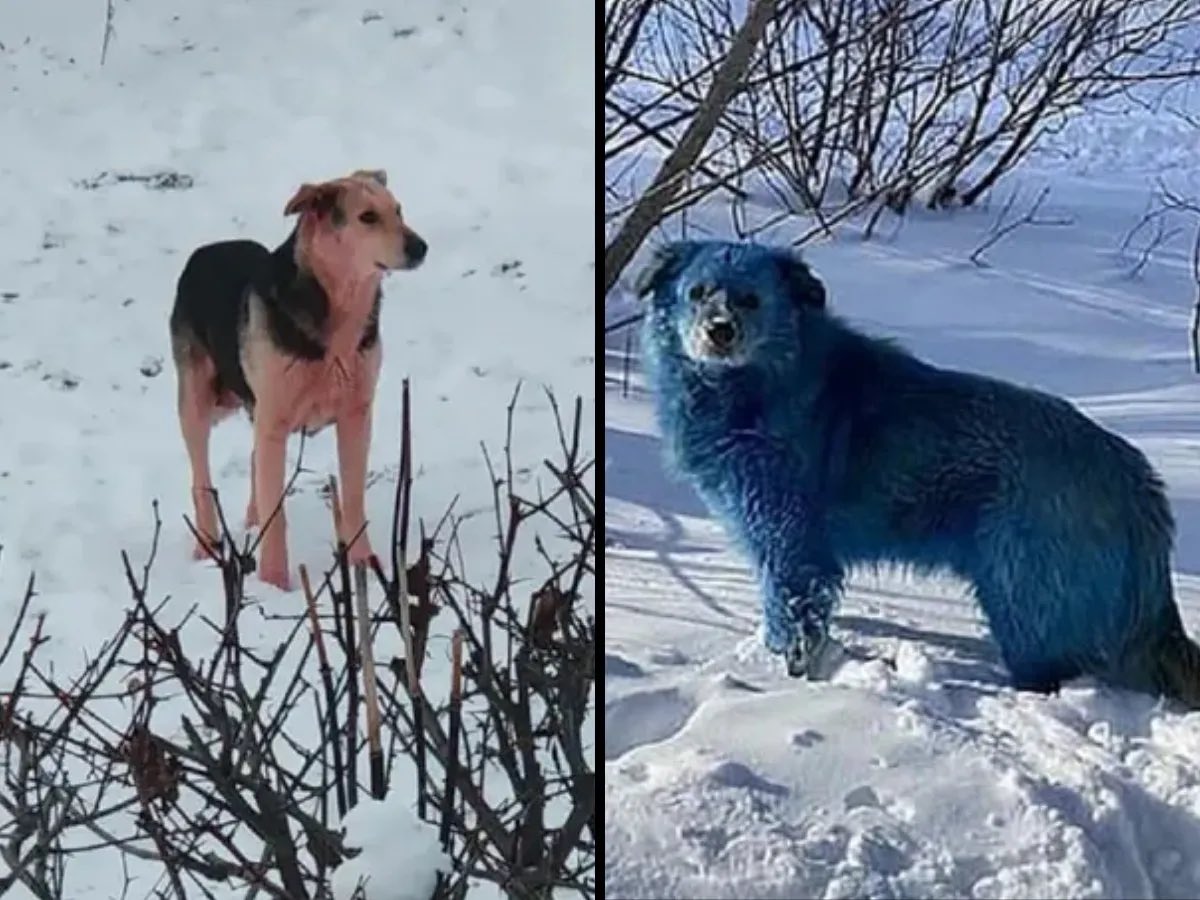 ‍ ‍ ‍ ‍ 𝐈𝐑𝓞𝐍 ‍ 𝕱𝐀𝐈͟𝐑𝐘 tweet media