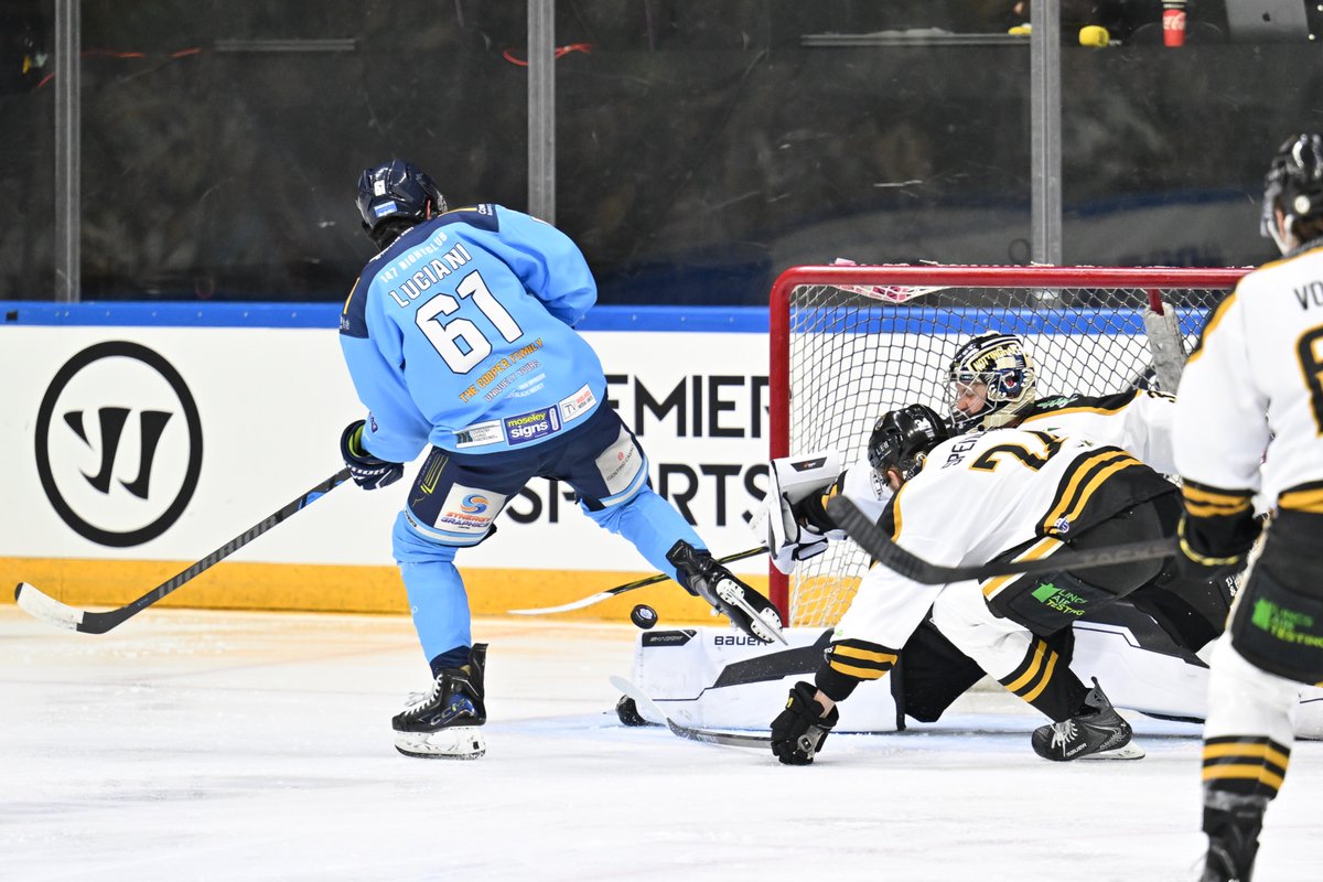 Panthers Images tweet media