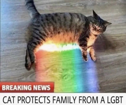 Vocational Science of Freedom tweet media