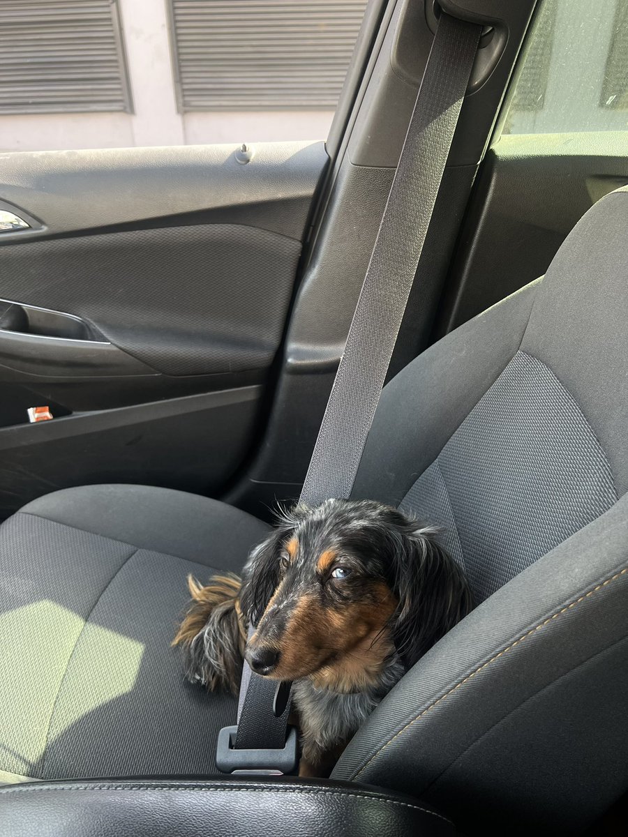 x (@xvrntn) on Twitter photo 