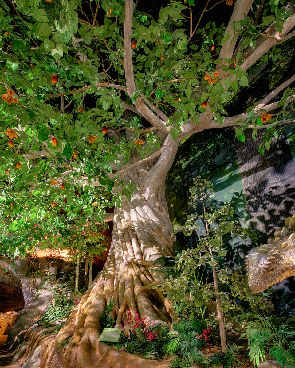 Creation Museum tweet media