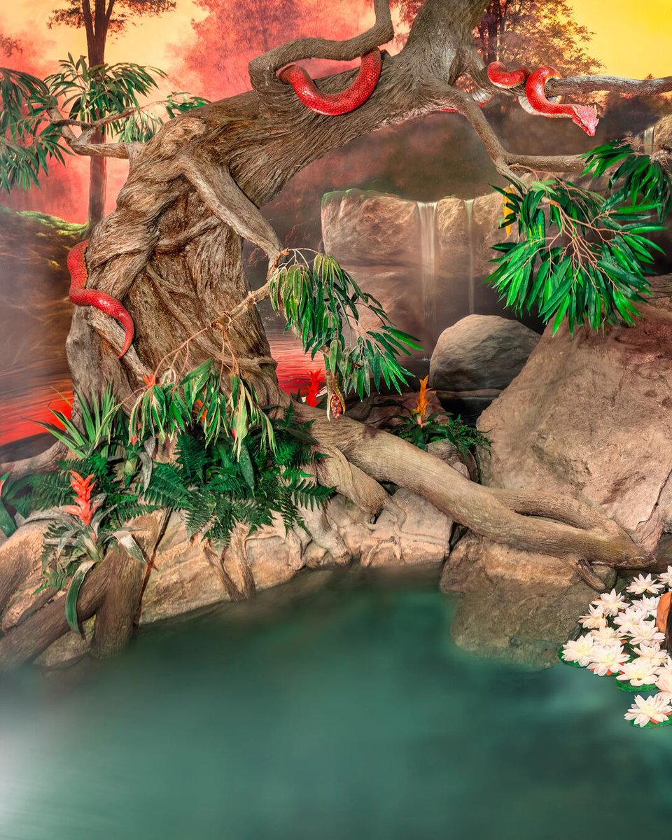 Creation Museum tweet media