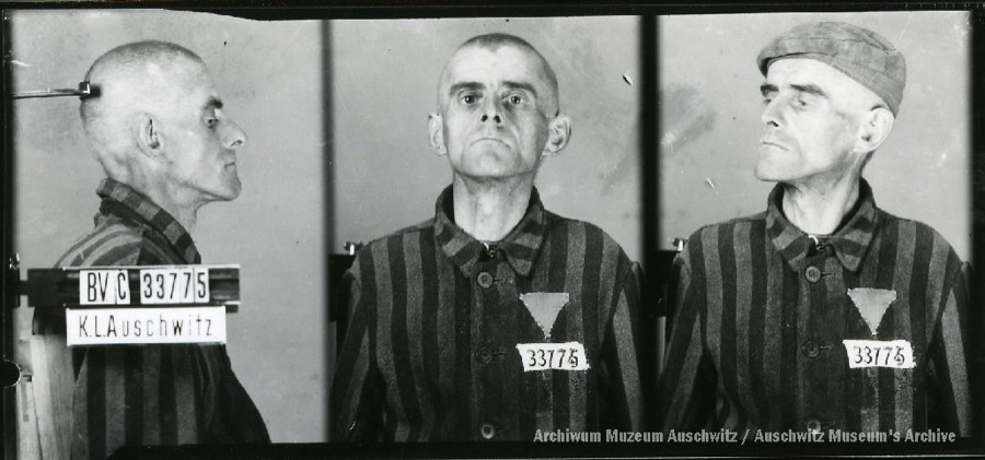 Auschwitz Memorial tweet media