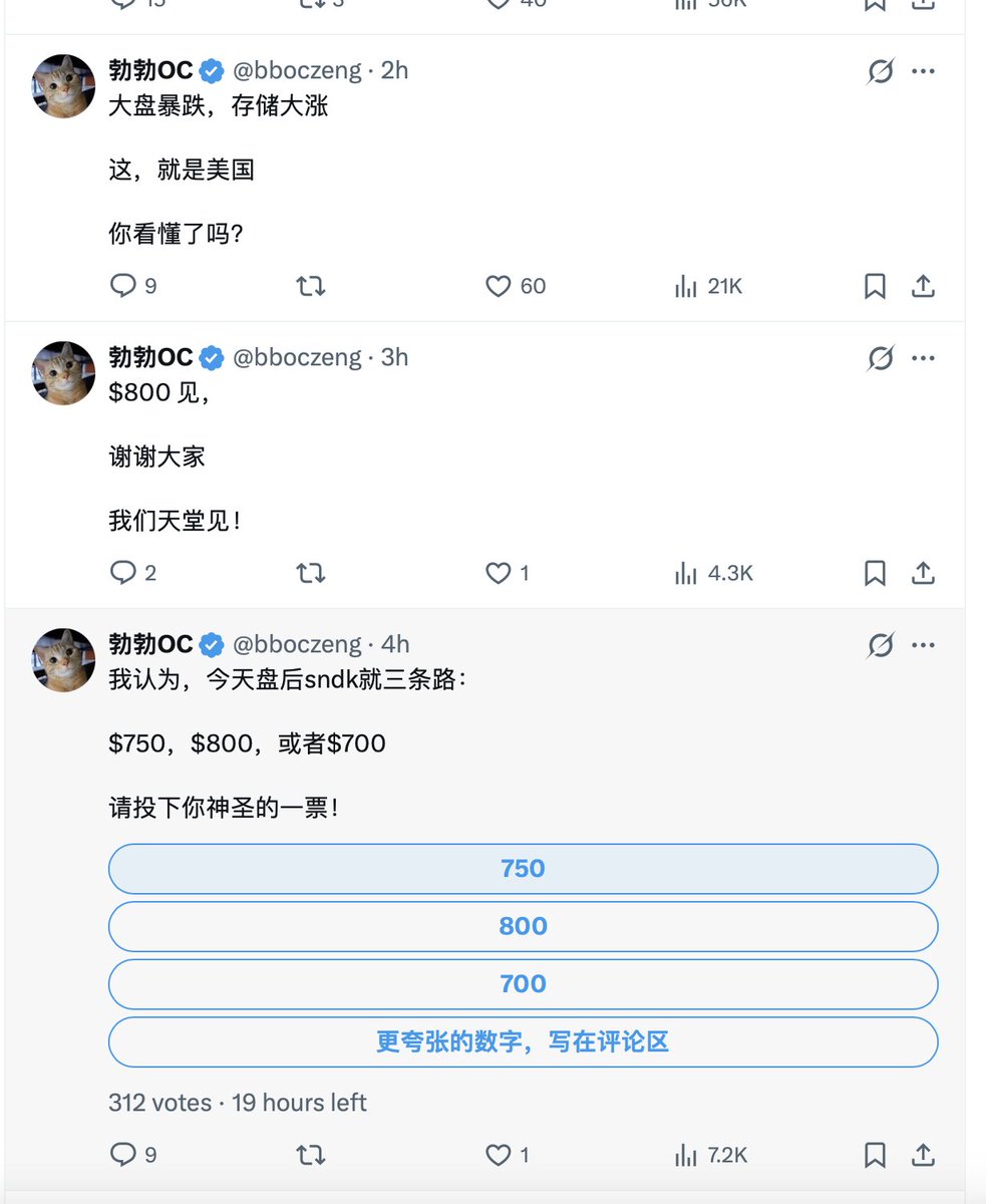 失败猫猫 tweet media