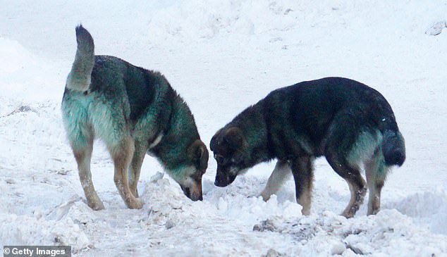 ‍ ‍ ‍ ‍ 𝐈𝐑𝓞𝐍 ‍ 𝕱𝐀𝐈͟𝐑𝐘 tweet media