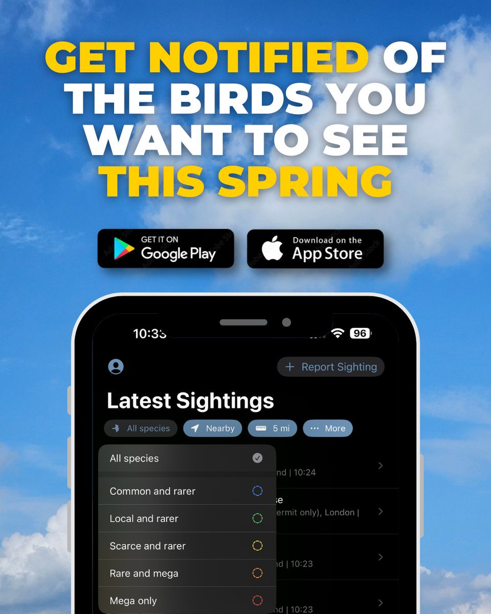 BirdGuides tweet media