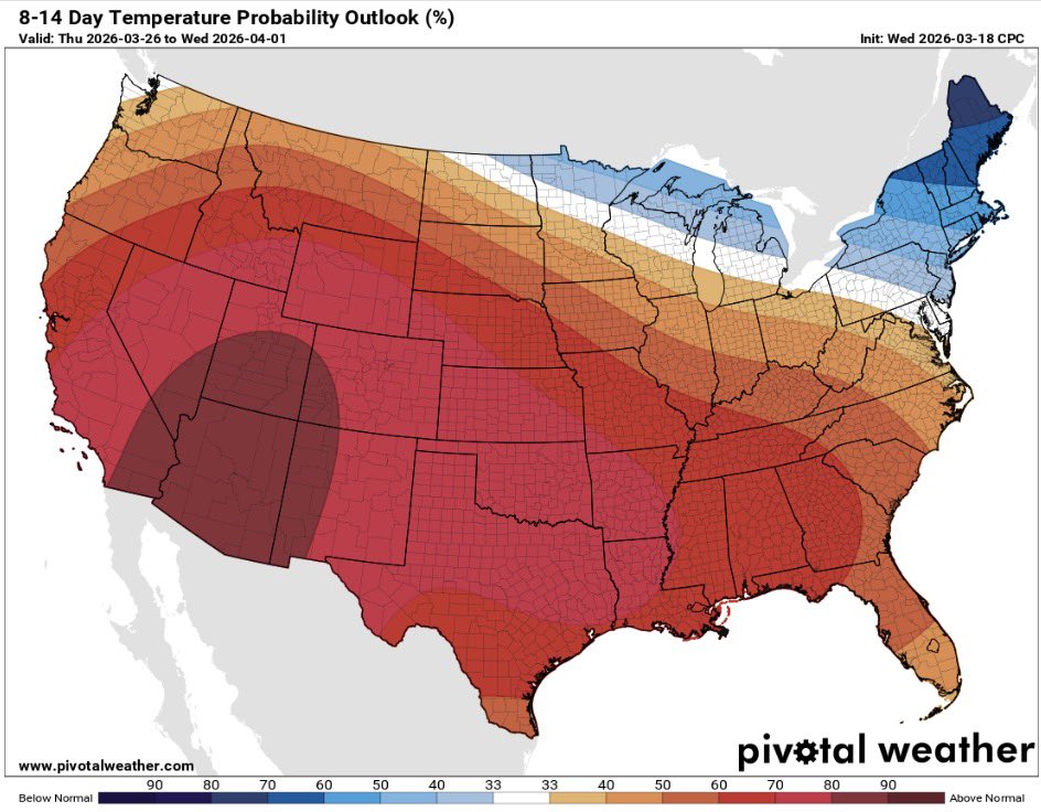 Brody Cowing tweet media