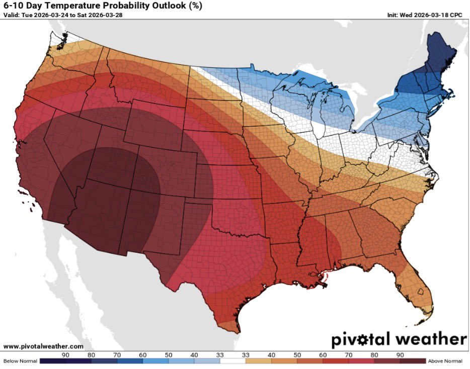 Brody Cowing tweet media