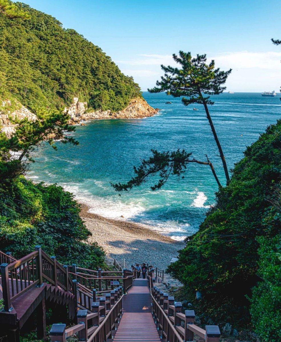 WORLD 2026 🌊 tweet media