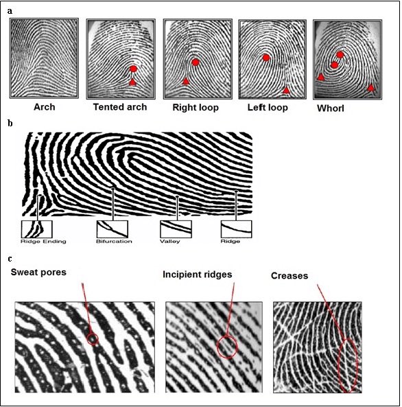 معاذ عيد - جنائيات tweet media