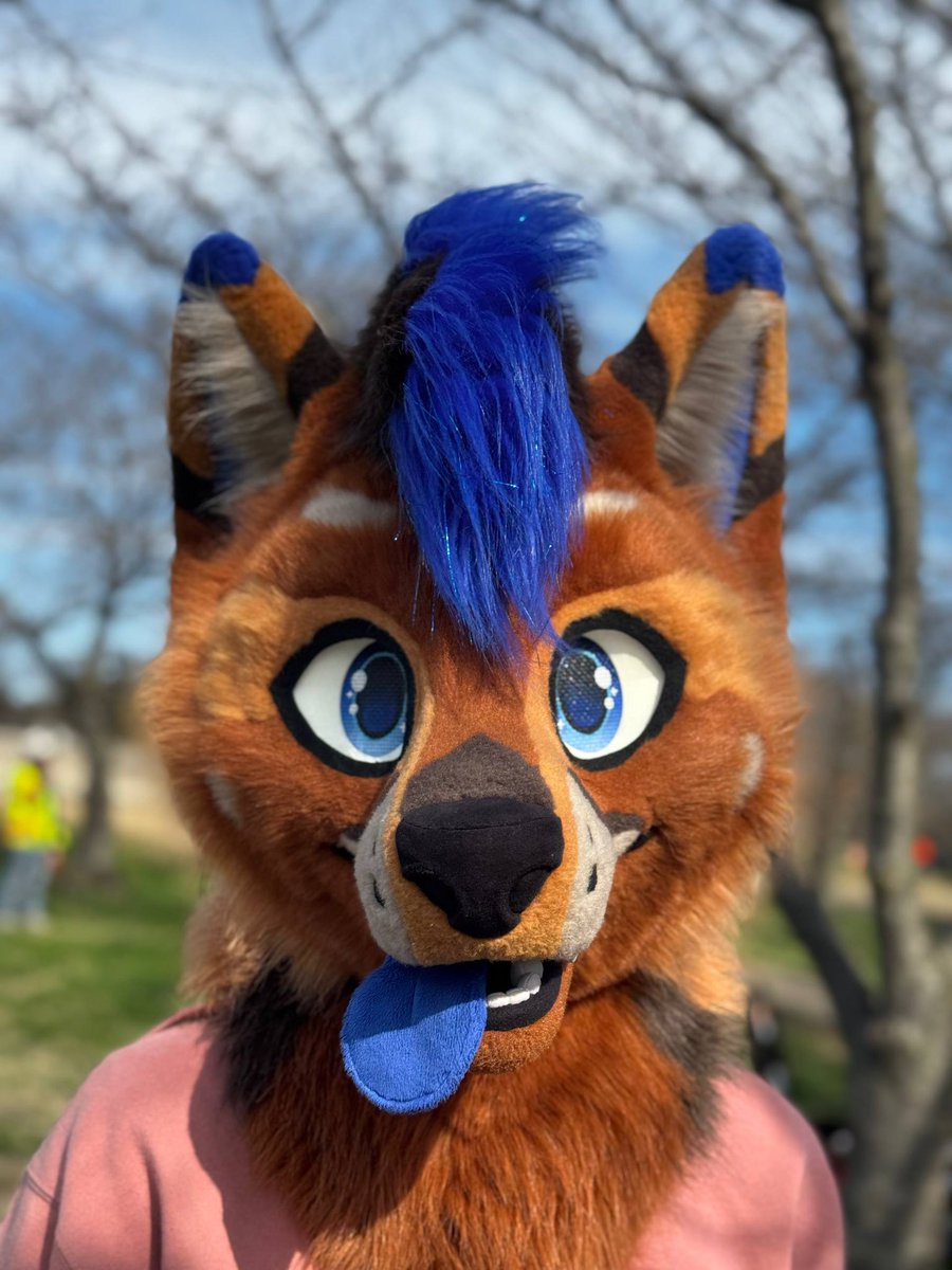 Raptor 🔜 FWA tweet media