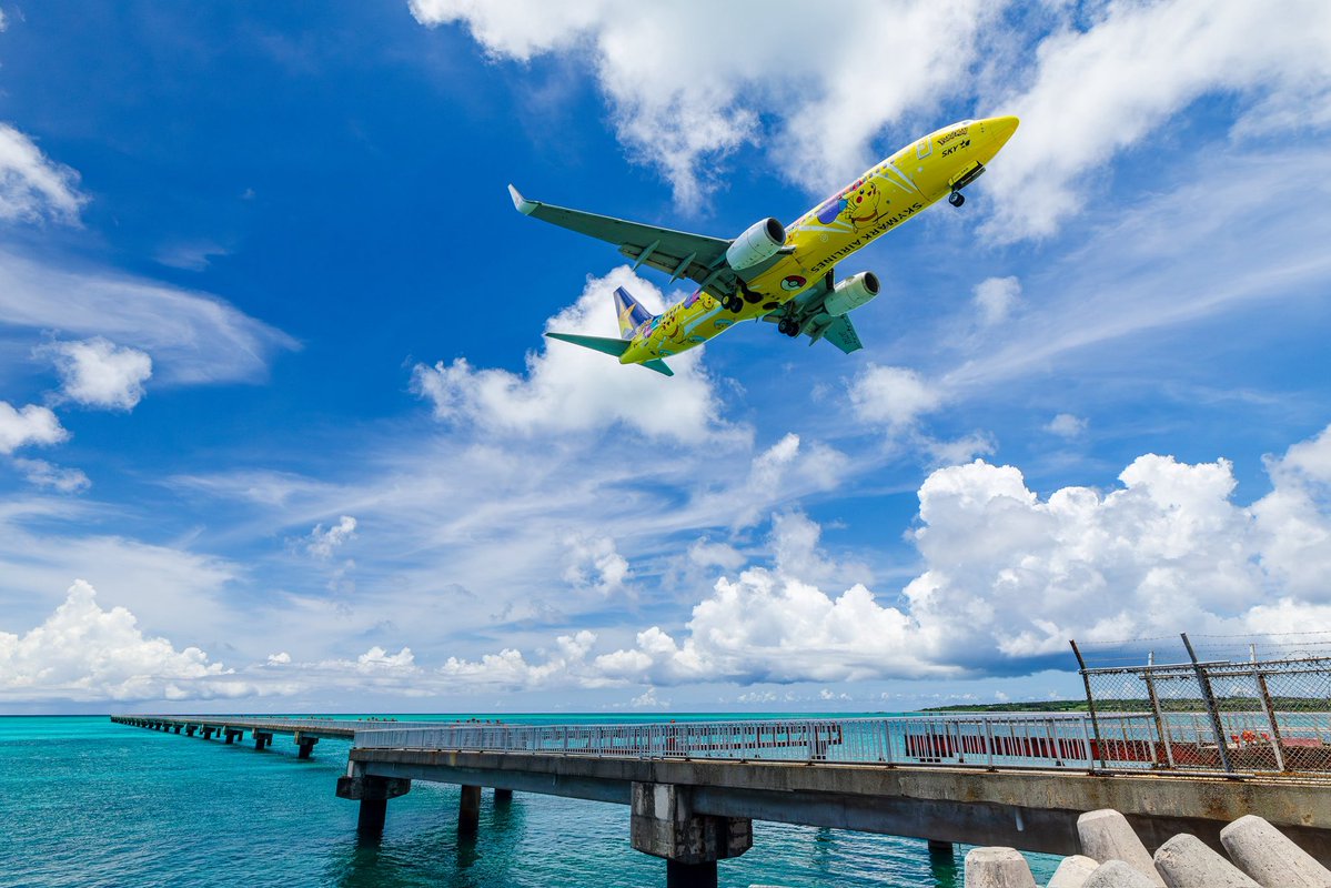 スカイマーク【公式】 tweet media