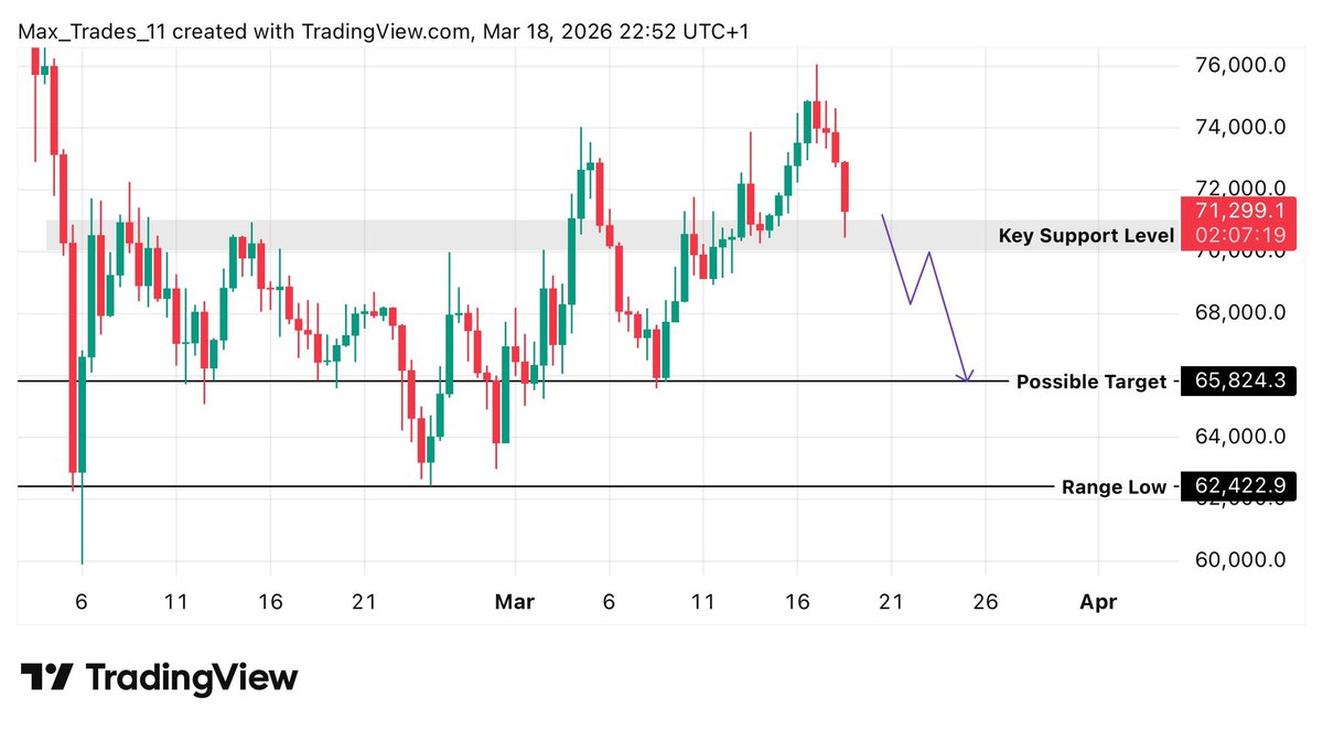 Max Trades tweet media