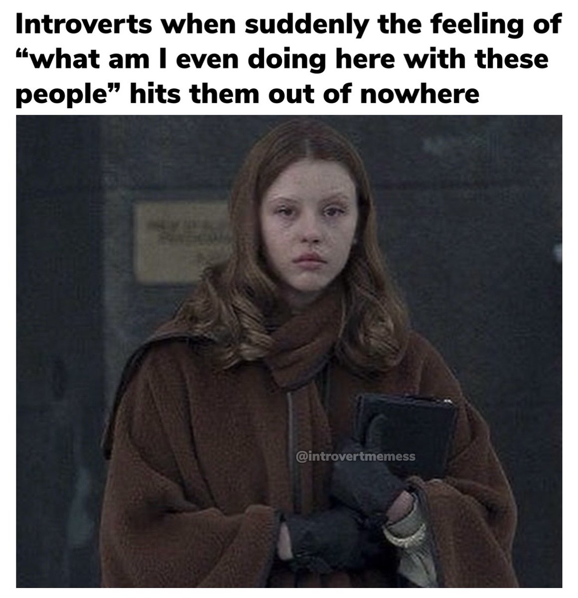 All About Introverts tweet media