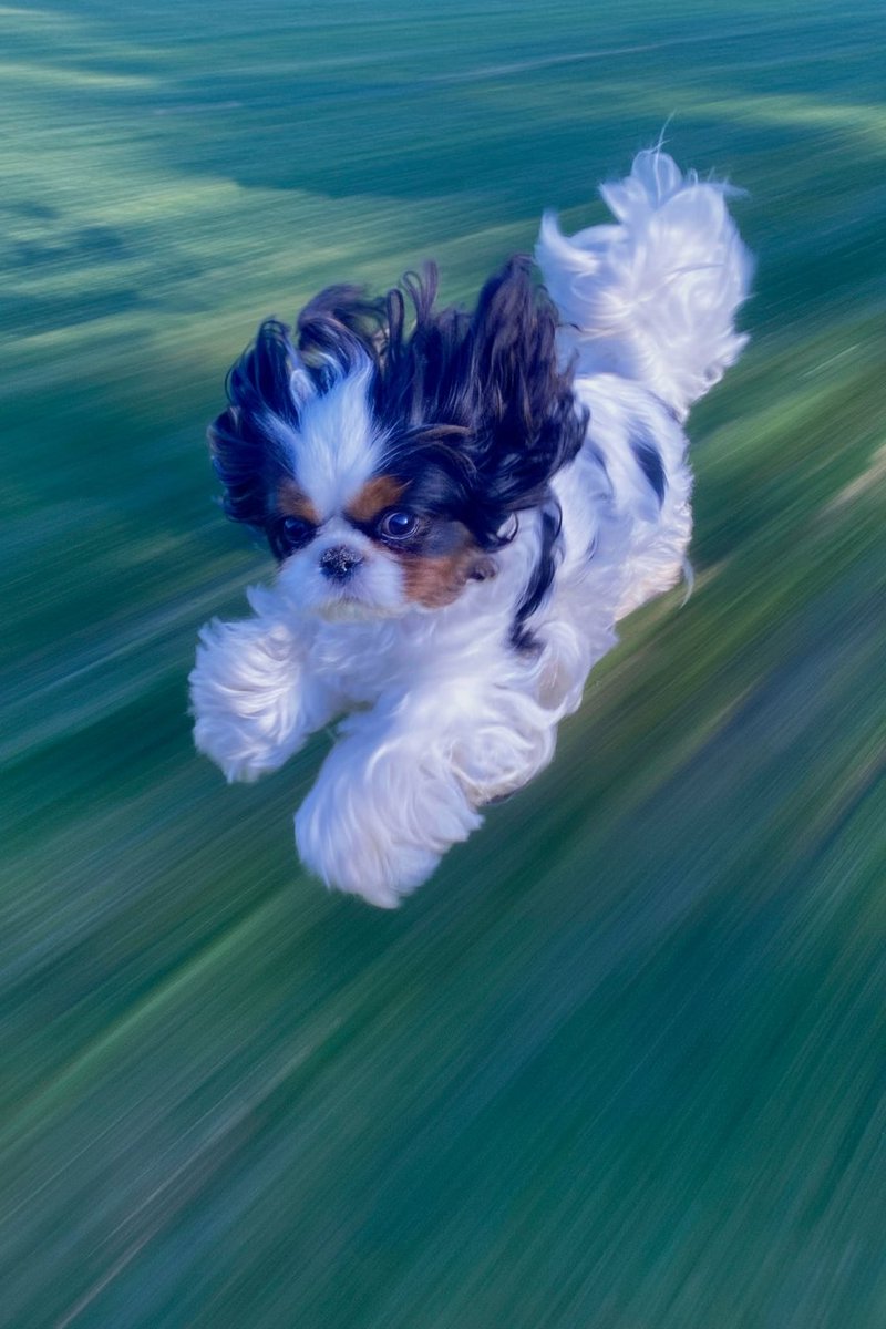 Gizem Akdag tweet media