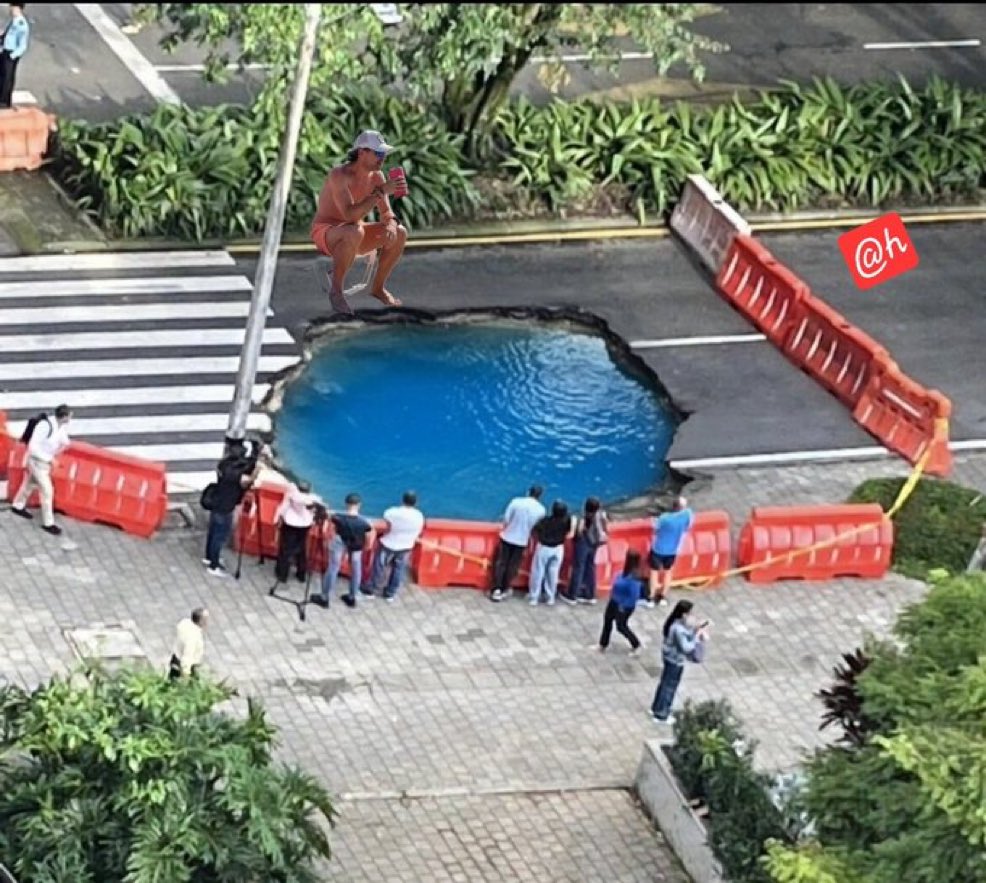 Diana Osorio tweet media