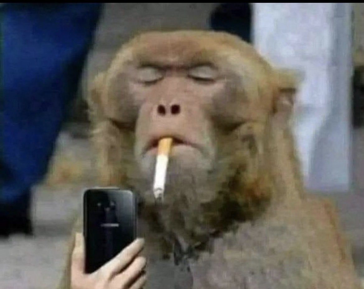 Sam 🥁 tweet media