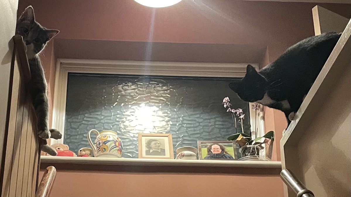 Simon Treasure Photography📷☕️ tweet media