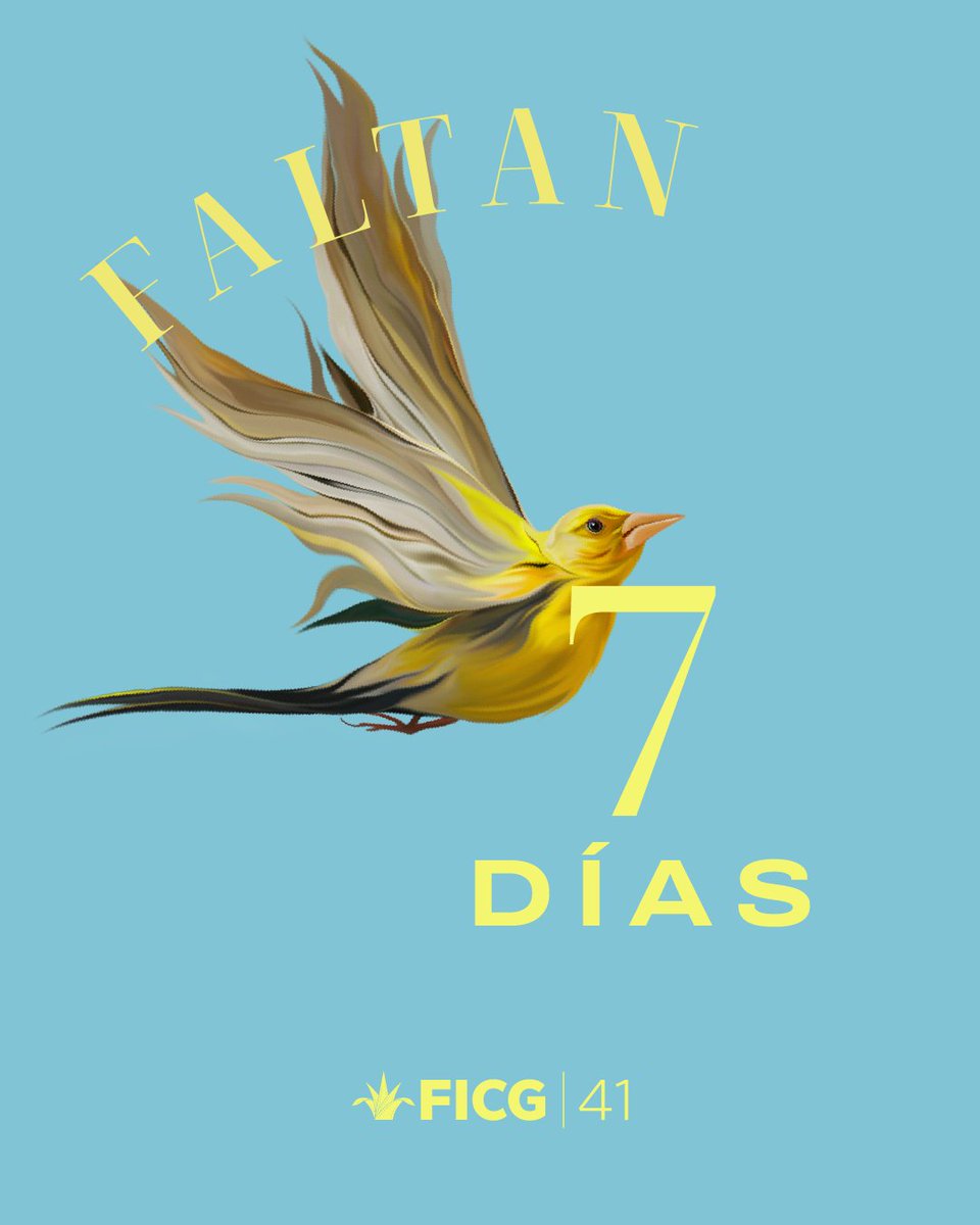 FICGoficial's tweet photo. En una semana volveremos a reunirnos por y para el cine: nuevas voces, grandes historias y miradas que llegan de todas partes para encontrarse en #FICG41.

Nos vemos del 17 al 25 de abril en el lugar para tu historia. https://t.co/gzQMkvqujp