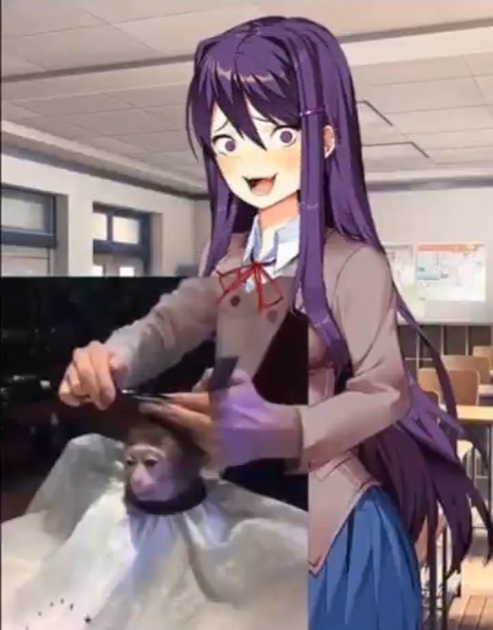 Yuri tweet media