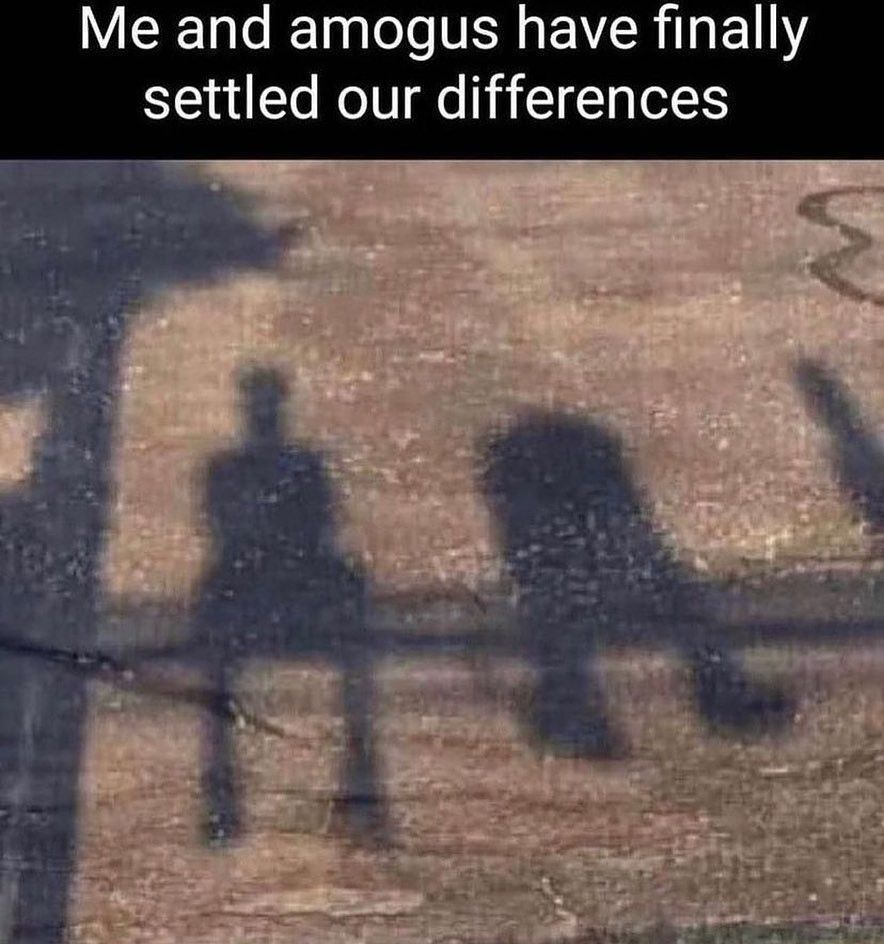 Crust 🏳️‍🌈🇵🇸 tweet media