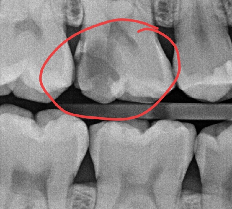 marieeeeee tweet media